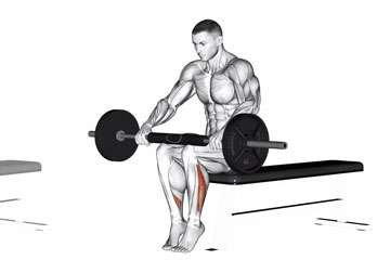 the soleus push-up using weights illustration